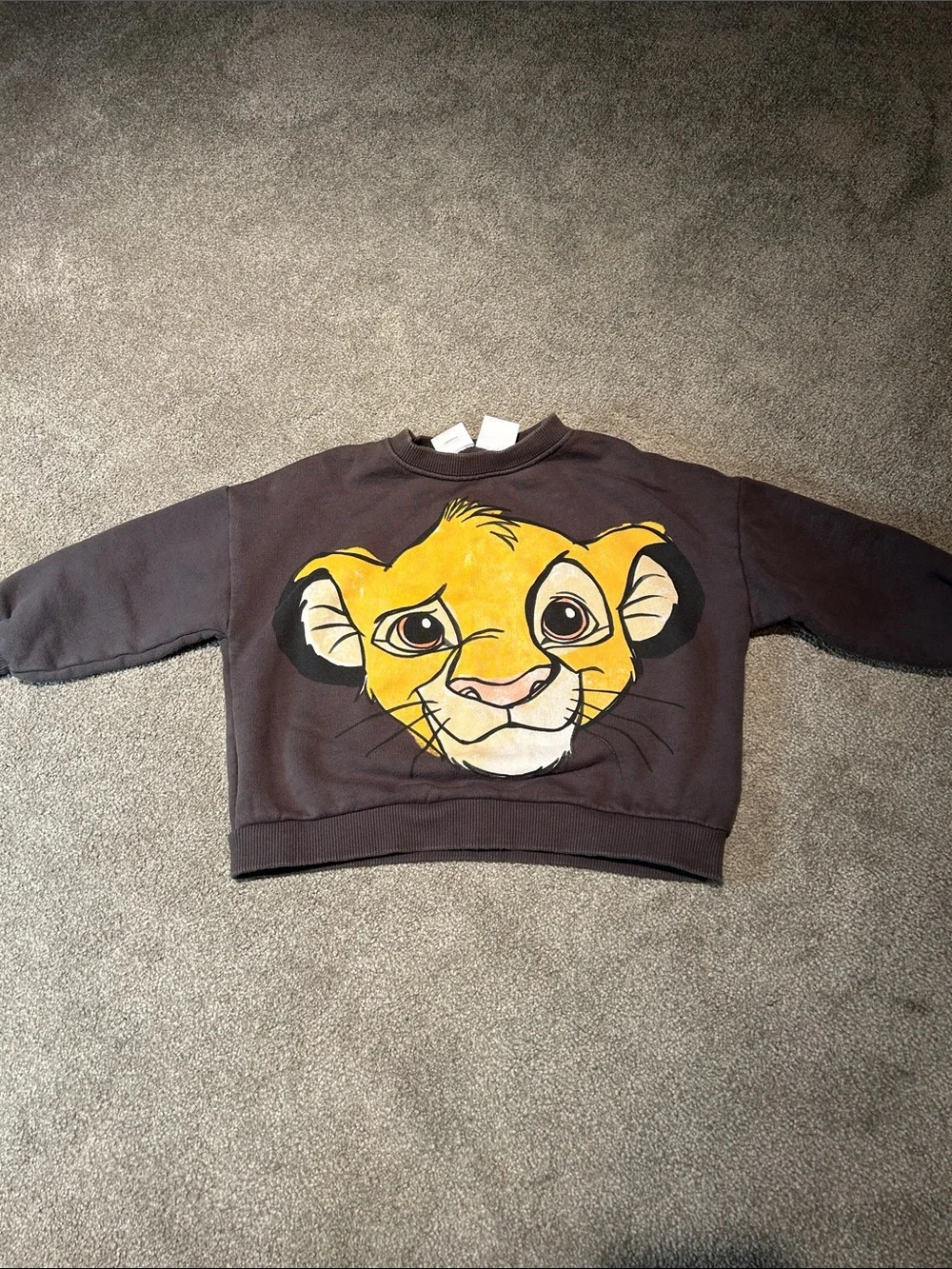 Zara x Disney feat: Lion King